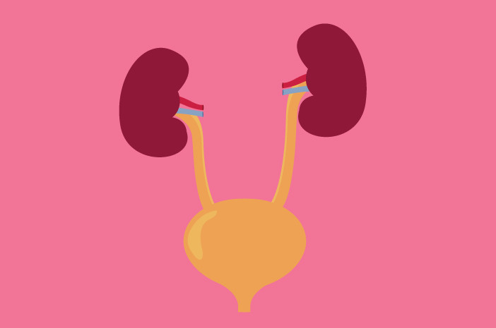 Trauma Saluran Kemih (Ureter)