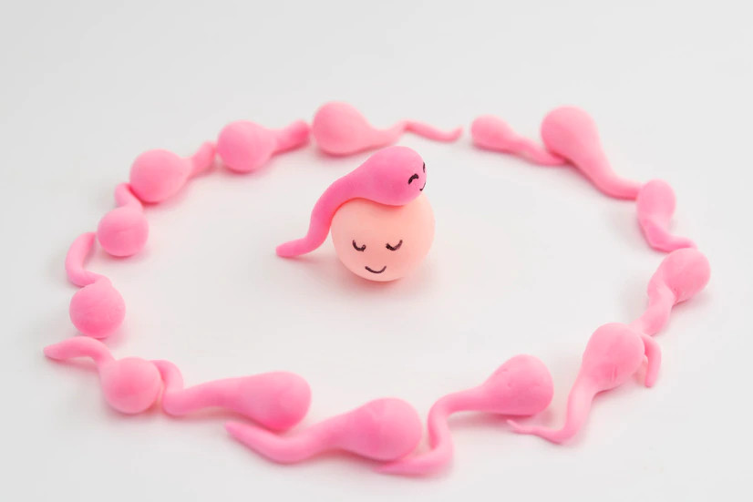 5 Hal yang Memengaruhi Kesuburan Wanita dan Cara Mengatasinya