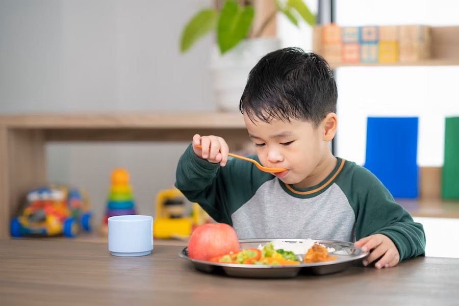 Ide Makanan Kaya Zat Besi untuk Anak
