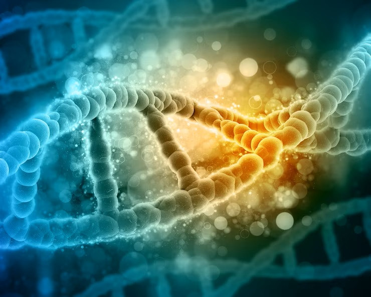 Mengenal Jenis-Jenis Kelainan Kromosom